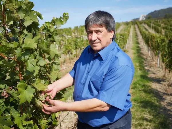 Vinařství Popela Stanislav