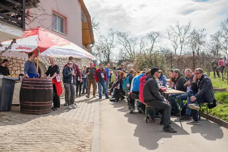 Otevřené sklepy Perná 2018 — fotografie 30