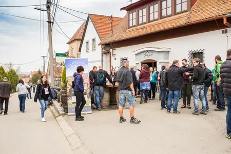 Otevřené sklepy Perná 2018 — fotografie 65