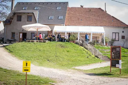 Otevřené sklepy Perná 2018 — fotografie 100