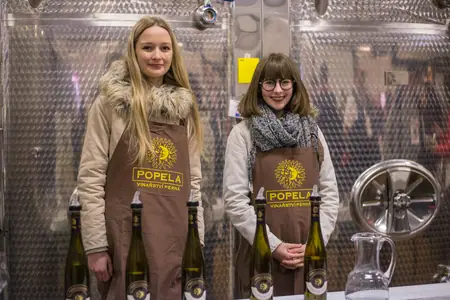 Otevřené sklepy Perná 2018 — fotografie 127