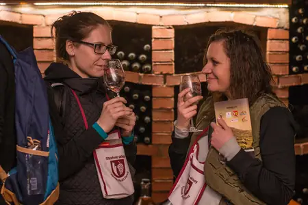 Otevřené sklepy Perná 2018 — fotografie 206